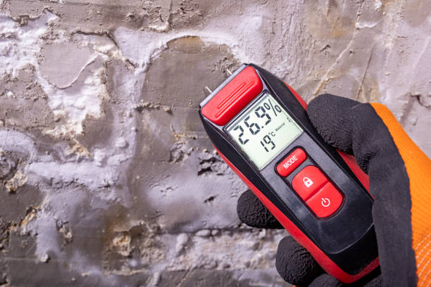 Best DIY Mold Remediation Support Services in Belle Plaine, IA